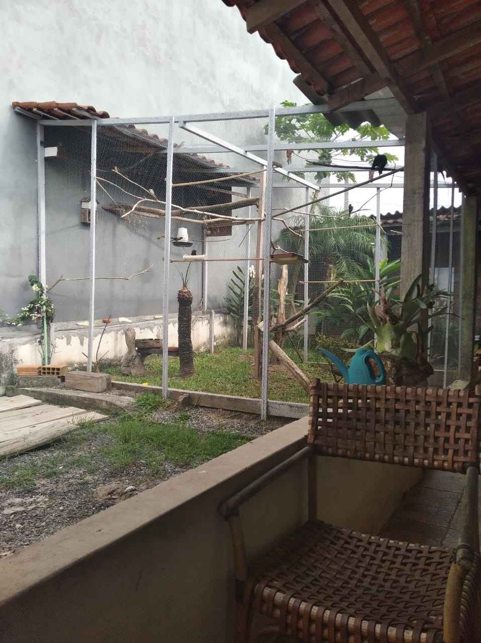 Image Title My Image